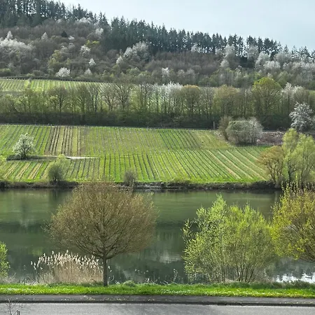 Ferienwohnung Moselblick Zell-Merl Merllorca 1 Og Panoramablick & Parkplatz *